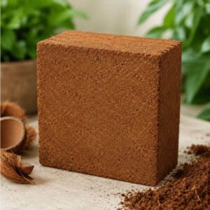 Cocopeat Blocks (5kg)
