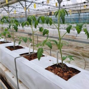Cocopeat Grow Bags