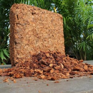 Coir Chips