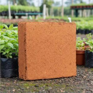 Coir Pith Briquettes
